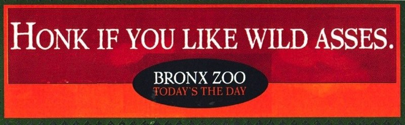 Bronx Zoo